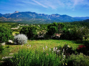 Appartements avec jardin entre Porto-Vecchio et Figari - Casa Mattiste
